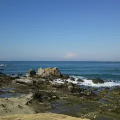 芝崎海岸
