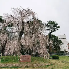 鴨川公園（出町柳）