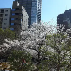 京橋プラザ区民館