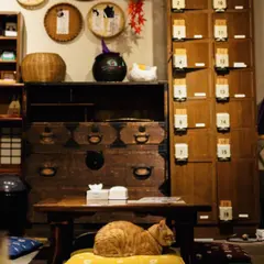 いやし亭 ほご猫茶屋
