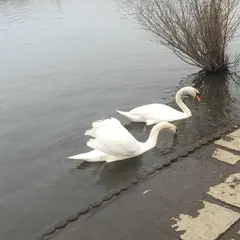 道の駅水の郷さわら