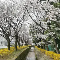 栃木市総合運動公園