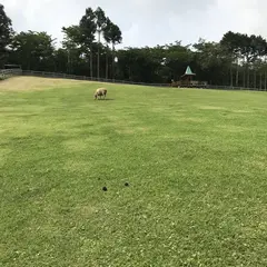 まかいの牧場