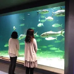 京都大学白浜水族館