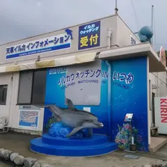 イルカウォッチング出港場所