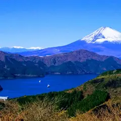 大観山展望台