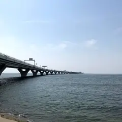 金田漁協