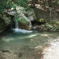 近江あまごの里