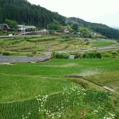 上代田棚田
