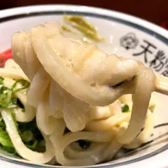 手作りうどん 天粉盛