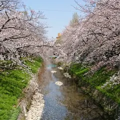 御用水跡街園