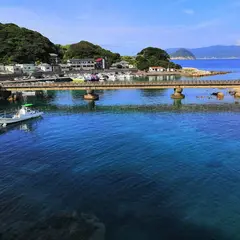 足摺宇和海国立公園