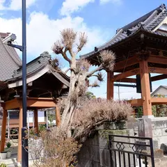称念寺