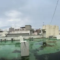 ステラリゾート