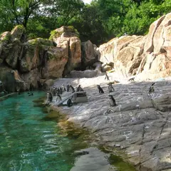 上海動物園（Shanghai Zoo）
