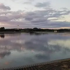 楮川ダム