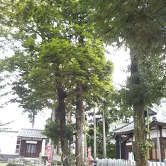 良縁の樹