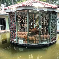 The Cambodia Landmine Museum（地雷博物館）