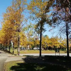 三橋総合公園