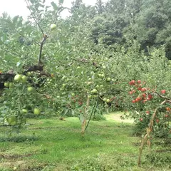 陣平農園