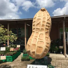 道の駅 木更津うまくたの里