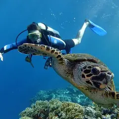 シャルム・エル・シェイク（Sharm el-Sheikh）