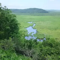 コッタロ湿原展望台
