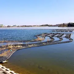 山倉ダム