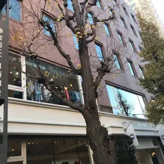 Canada Goose TOKYO FLAGSHIP
