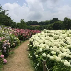 蜻蛉池公園