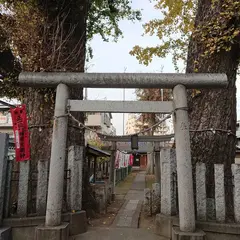 出世稲荷の大銀杏