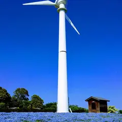いわき市フラワーセンター