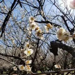 赤塚溜池公園