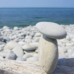 鳴り石の浜