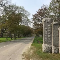 日高育成牧場