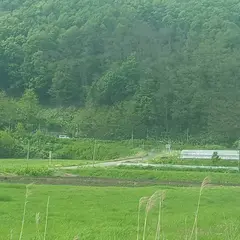 白川豆腐店
