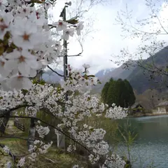 駒ケ池