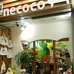 necoco