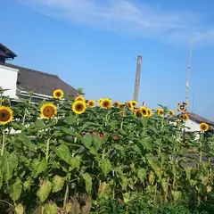 滝内巨峰園