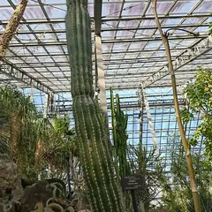 国立科学博物館 筑波研究資料センター