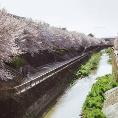 南田中橋