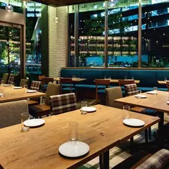 ロトブル イタリアン トーキョー（LOTO BLU Italiana TOKYO）