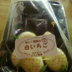 ウサギ