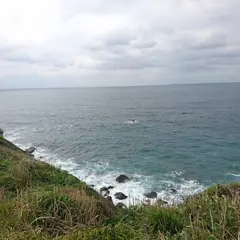 海豚鼻