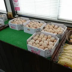 徳地とりたまの里