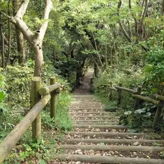 長柄桜山古墳群２号墳