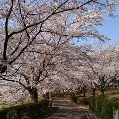 希望ケ丘公園