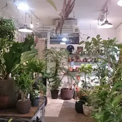 株式会社OSLO