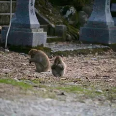 宇奈月神社