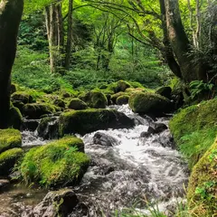木谷沢渓流